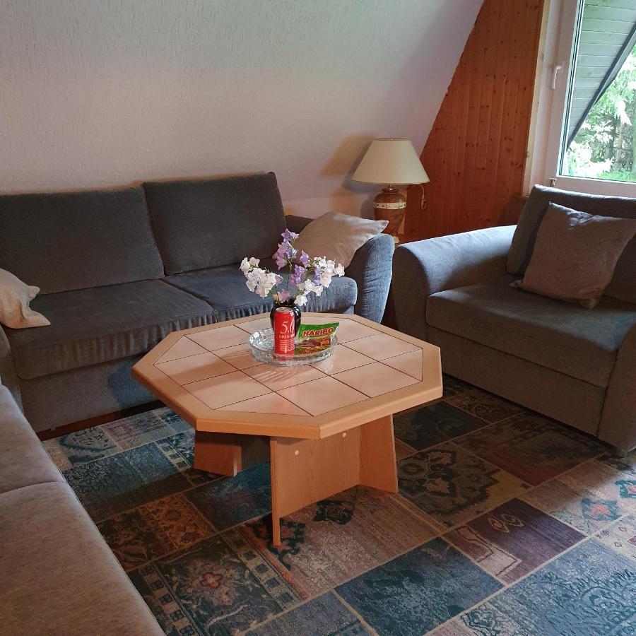 Finnhaus Neubauer Elbingerode  Eksteriør billede